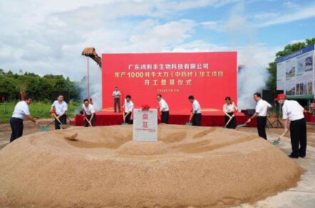 廣東興寧：年產(chǎn)千噸牛大力加工項(xiàng)目開(kāi)工，加快鄉(xiāng)村全面振興